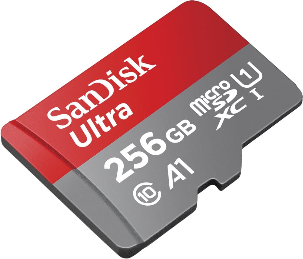 256GB MicroSD Card